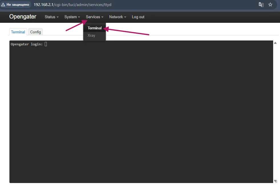 Open Terminal